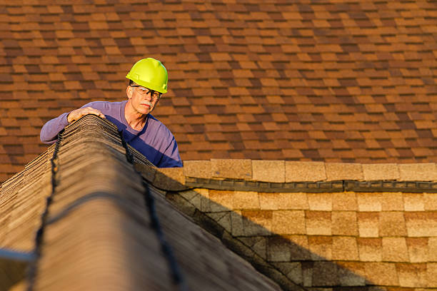 Best Roof Gutter Cleaning  in Oskaloosa, IA